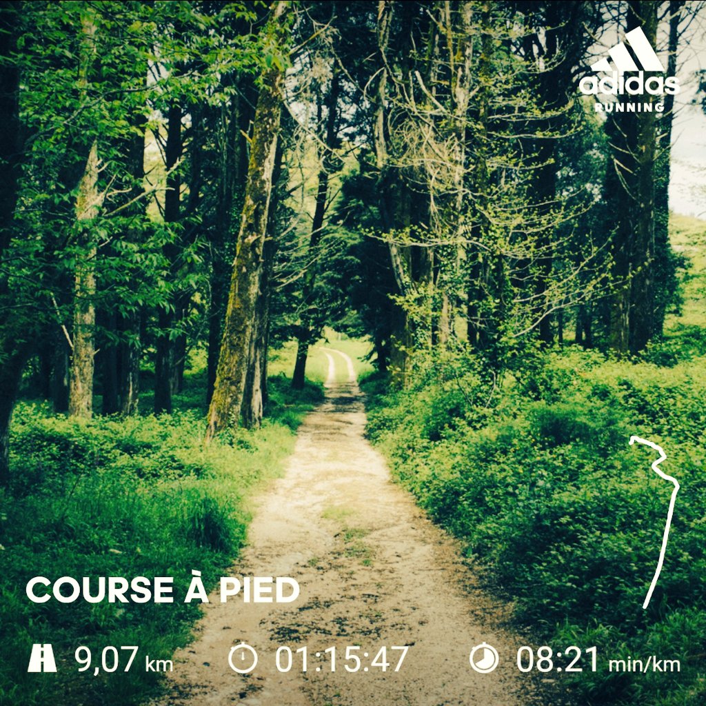 Petite activité tranquille du dimanche matin 🏃‍♀️ sous le 🌞