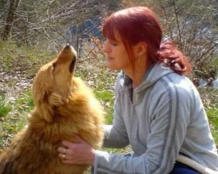 Rudozem Street Dogs tweet media