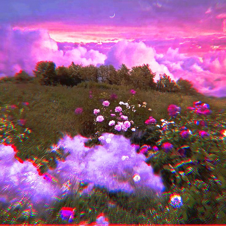 ┊͙ แคทมิว 0 4 * ลฟตท ♡ 🦋🌹