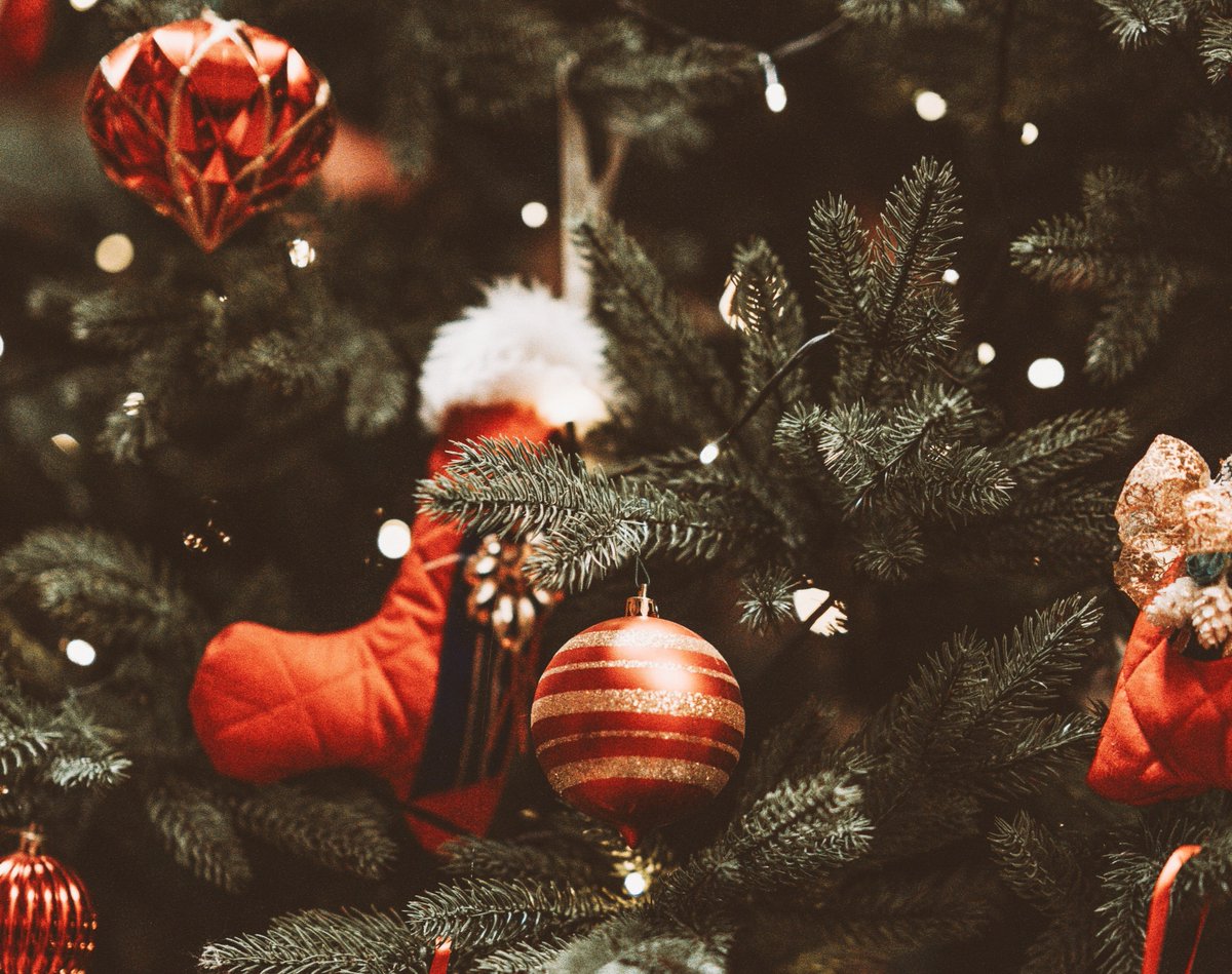 LiveStudyEnjoy's tweet photo. #Christmas is just around the corner! ☃️We've got some fantastic events planned and some dazzlingly festive decorations on the way... keep your eyes peeled on our socials for all things merry and bright coming this December!  🎅❄️ https://t.co/At91WcqfTx