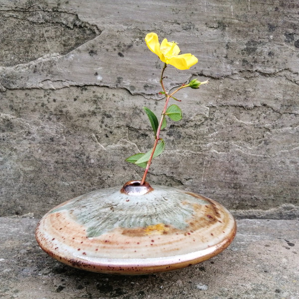 Something new vase form. Shino glazed this ash wash.

#ceramics #pottery #glazes