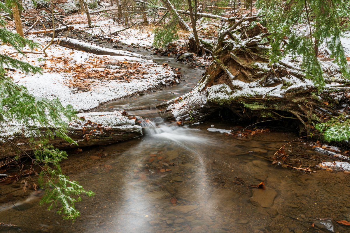 Jeandron's tweet photo. A couple more intimate scenes of Phyllis Creek, running through Odell Park.
#odell #snow #stream #falls #landscapephotography
#Fredericton #newbrunswick #canada #nbalways #mycbcnb https://t.co/LiLVJMTrIr