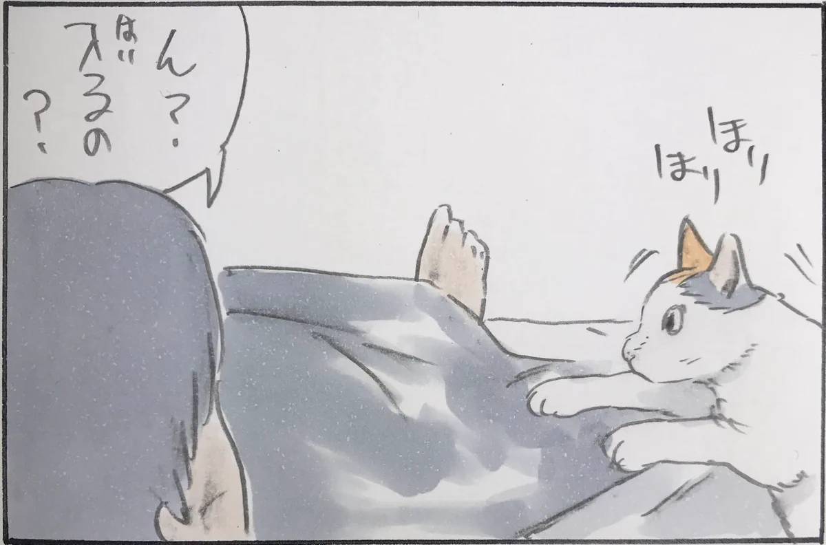 入るの？入らないの？よく分からない猫の心中ｗｗ