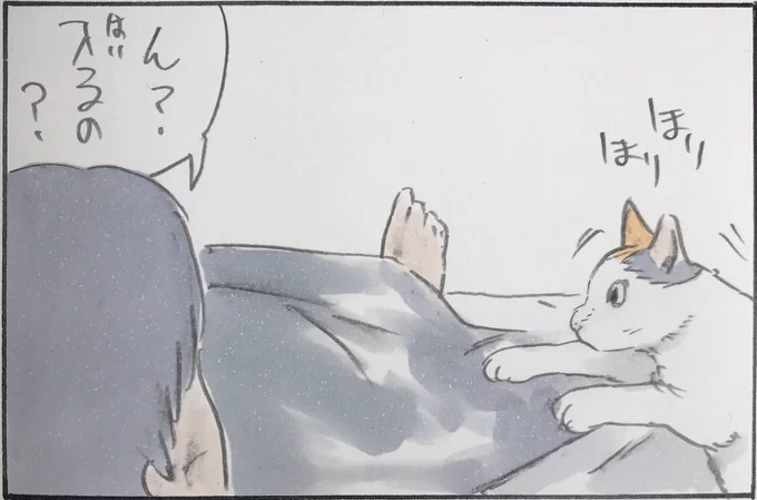 『どっちなの?』 