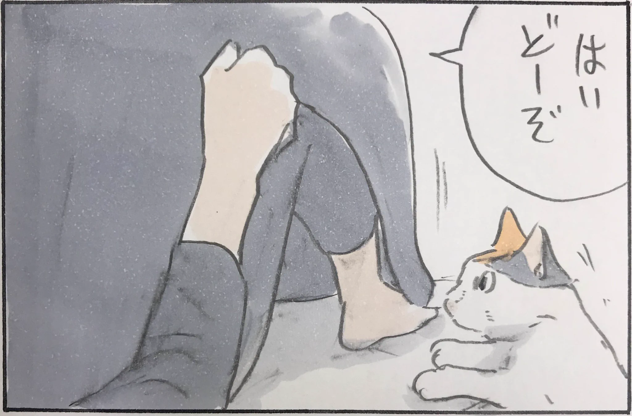 入るの？入らないの？よく分からない猫の心中ｗｗ