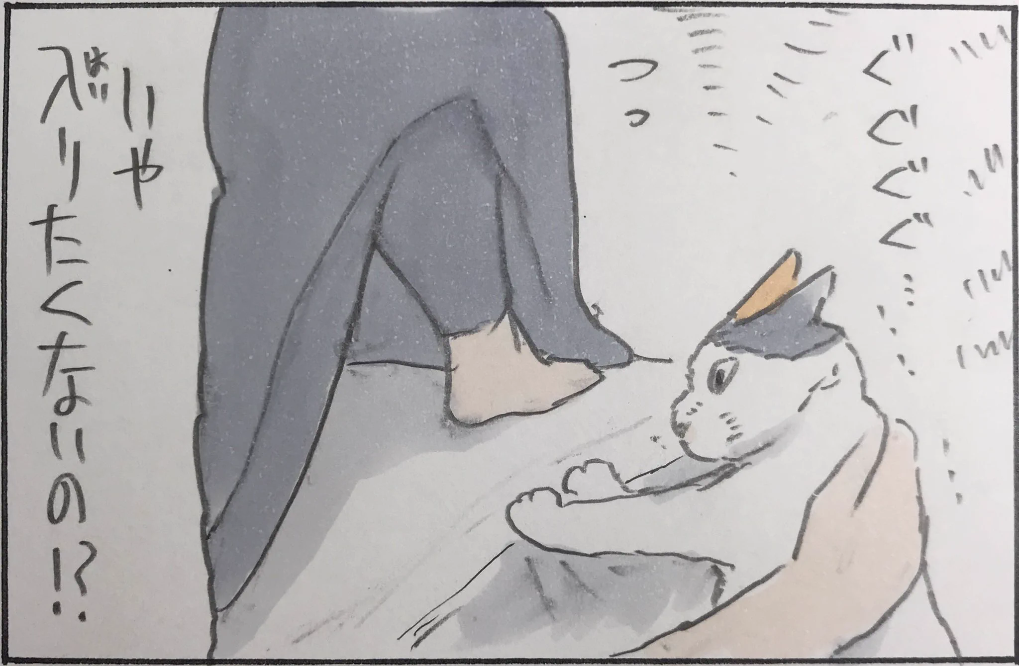 入るの？入らないの？よく分からない猫の心中ｗｗ