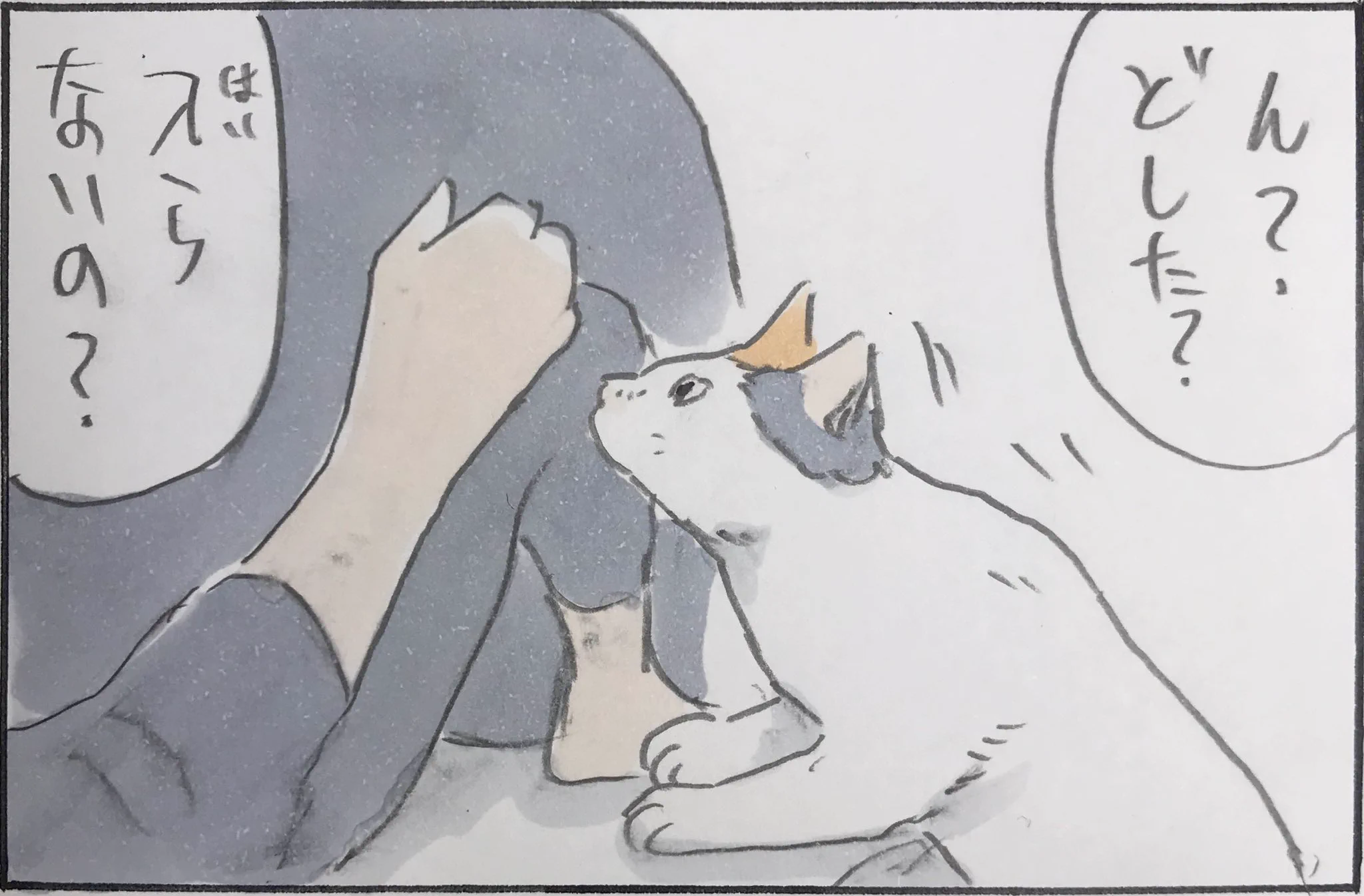 入るの？入らないの？よく分からない猫の心中ｗｗ