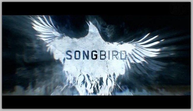 REDEEMING LOVE BG SUBTITLES