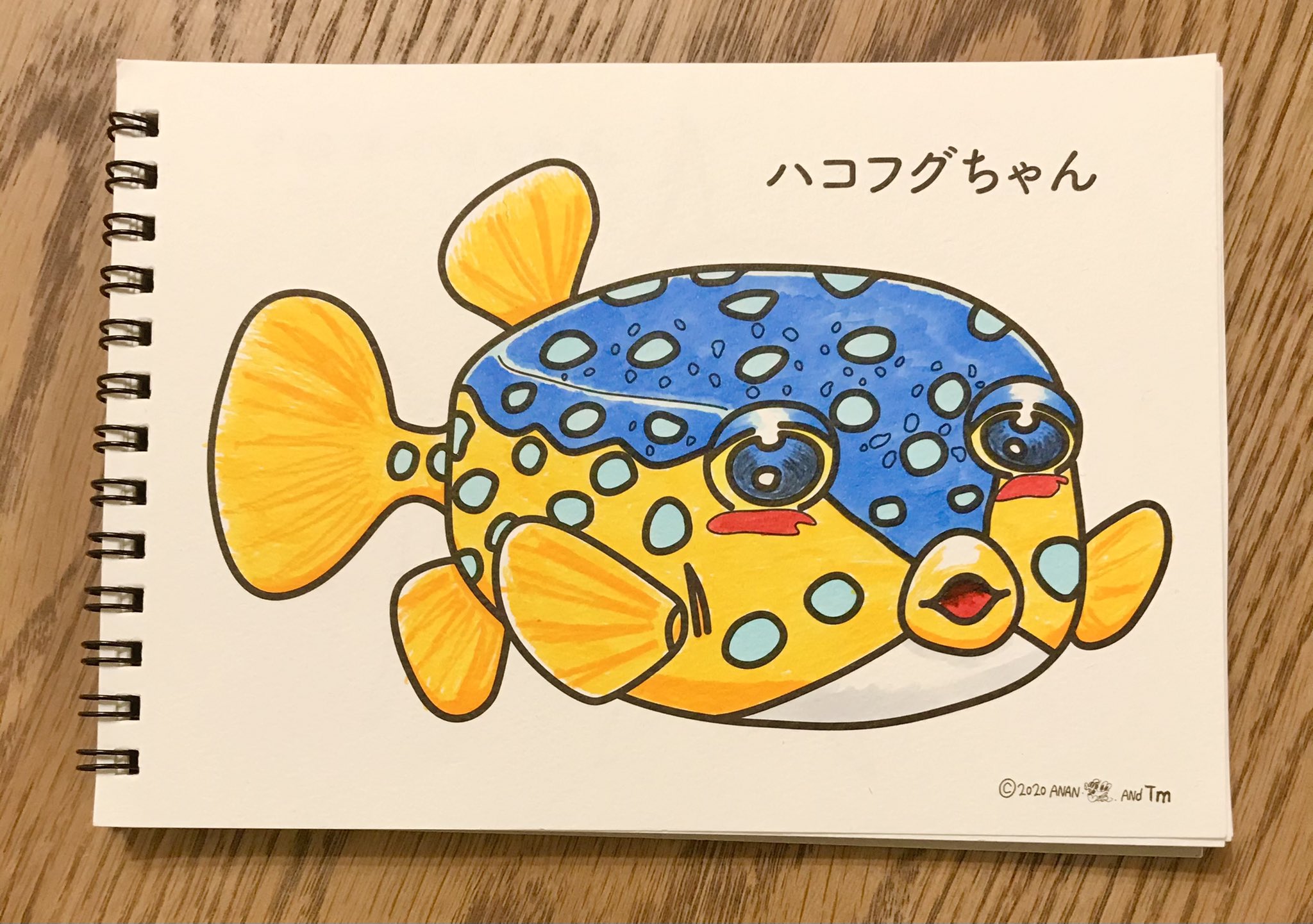公式 スケッチブックのマルマン Tot647 たこ そして温泉まんじゅうさんのぬりえも 魚の特長とらえた塗り絵でステキですね Twitter