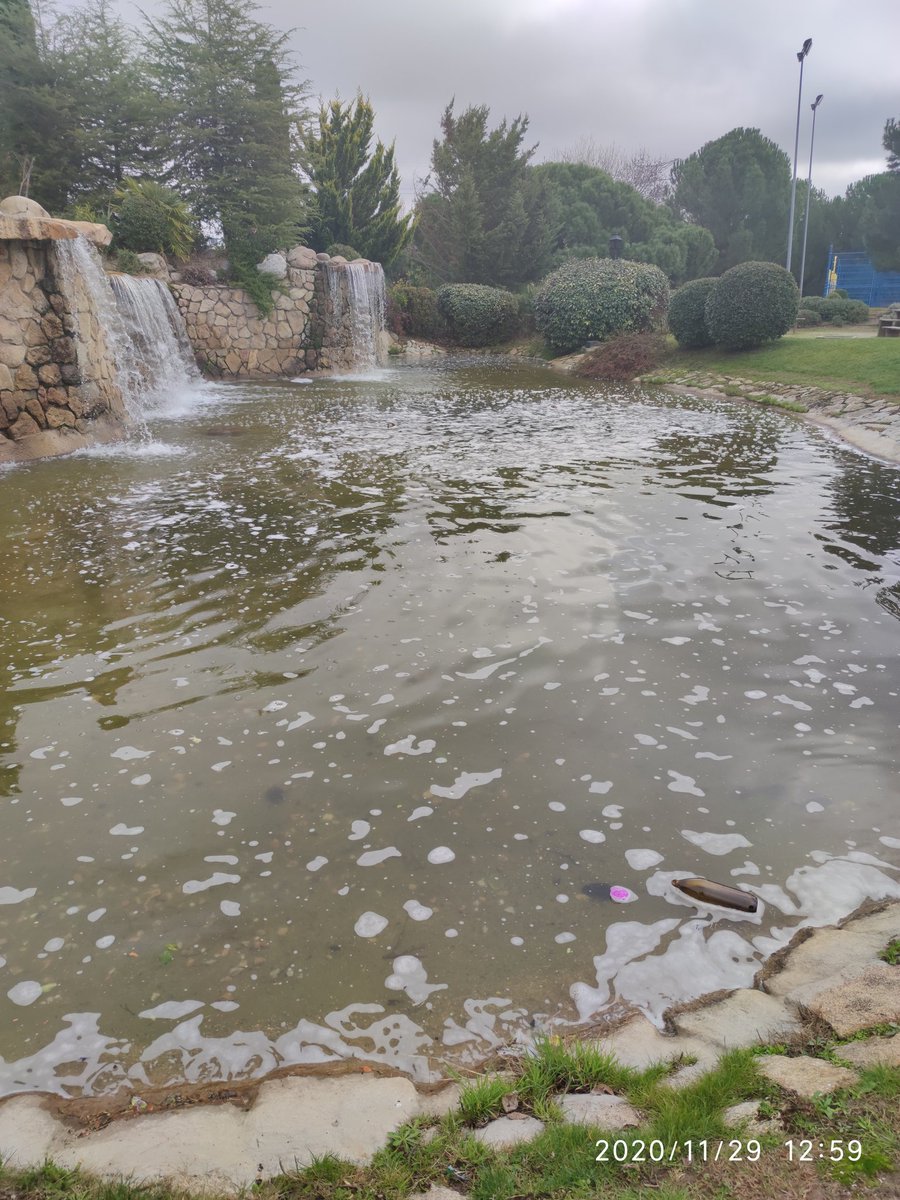 Buenos días y Feliz domingo. <a href="/Arroyomolinos/">Ayuntamiento de Arroyomolinos</a> al menos tres litronas flotando en el agua y envases de plástico por todos sitios. ¿Harían falta mas papeleras y más vigilancia en nuestros Parques? Gracias.