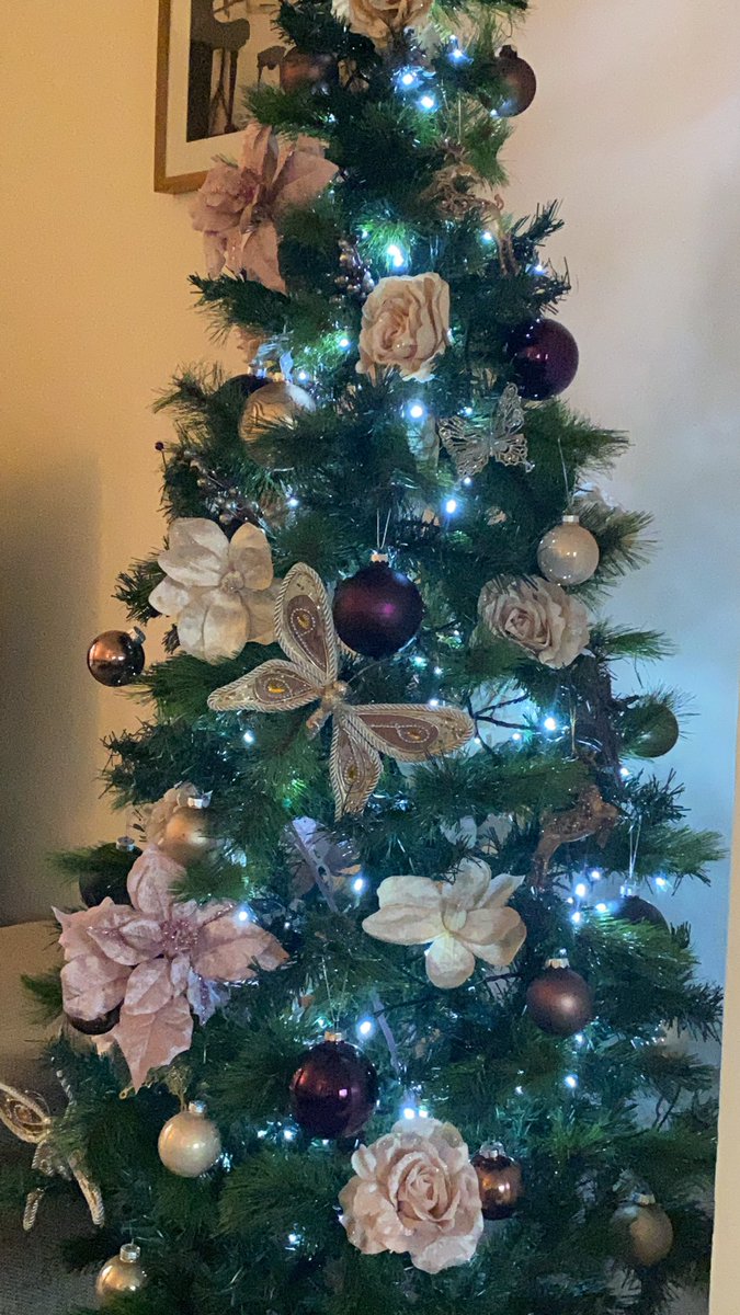 LouBouStar's tweet photo. Inspired by @shadylady222 my tree is up and thereβs a bee! One bee went to @JoshStarlinggg and @BethanyOliviaa_ for their 1st Christmas in their new home. The other on our pretty pink tree #beemerry https://t.co/G3zTvxZYdi