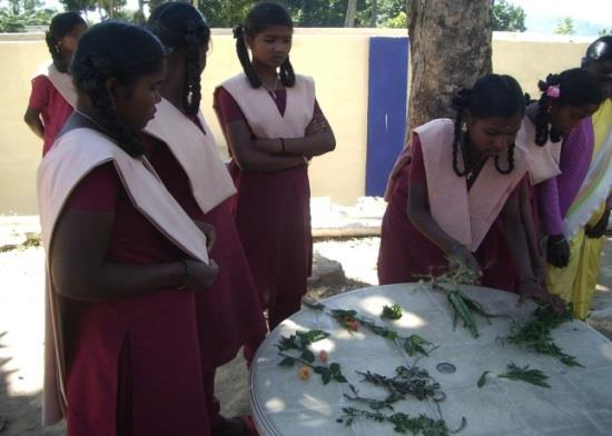 The Friends of H.O.P.E tweet media