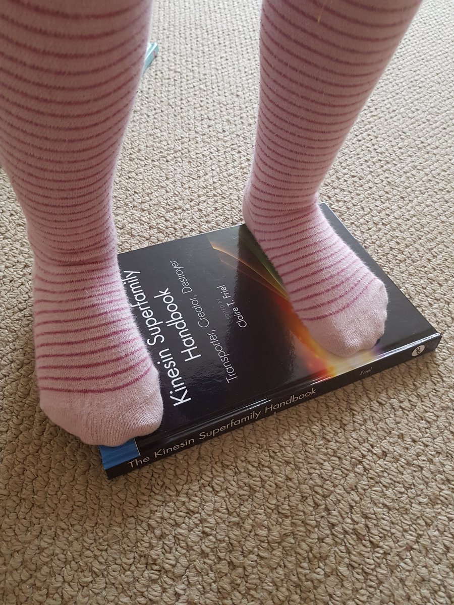 Friel Lab tweet media