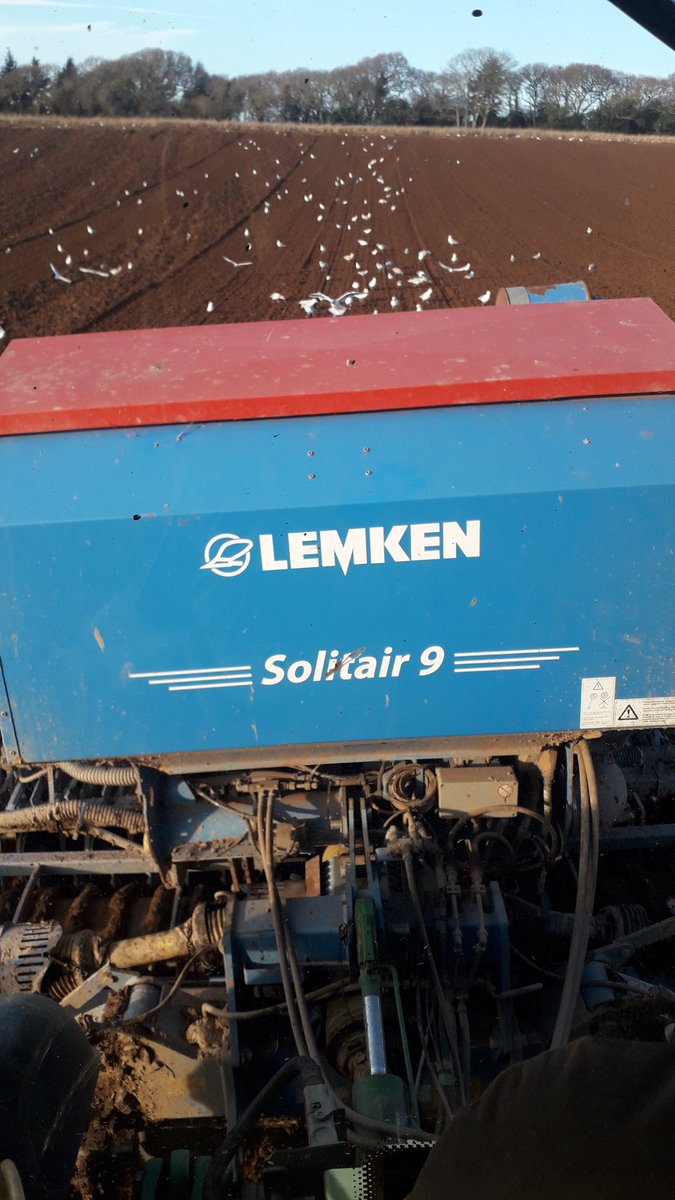 After a unforeseen 10 mm of rain on friday night back drilling wheat again today thank god for the plough and combi drill  our saviour yet again this year