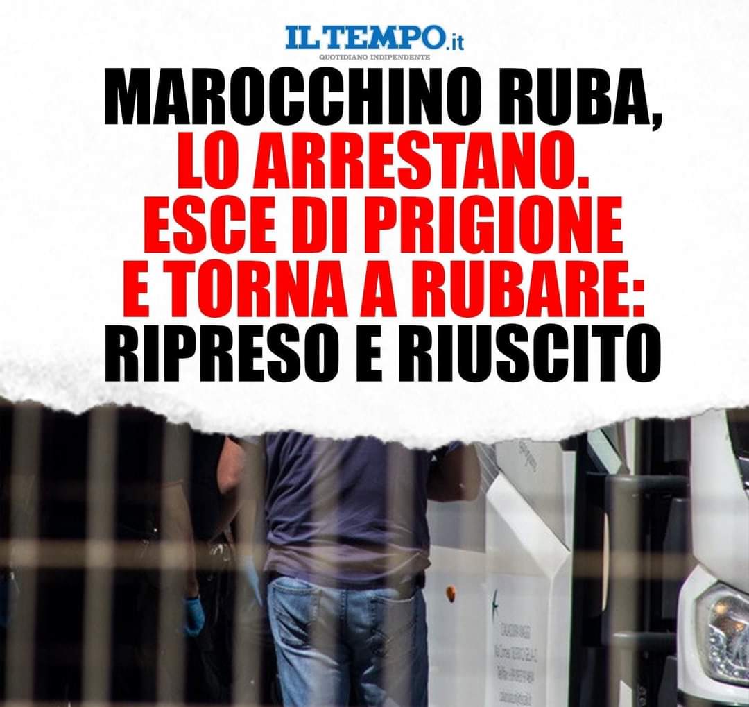 GiorgiaMeloni photo