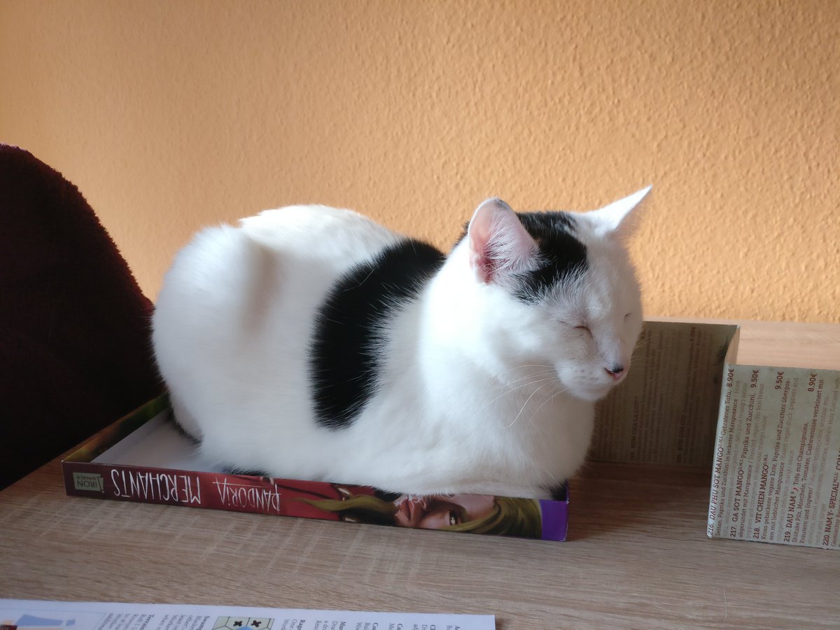 SpirelliGames's tweet photo. A box is a box is a box https://t.co/dDNUwyIiIJ