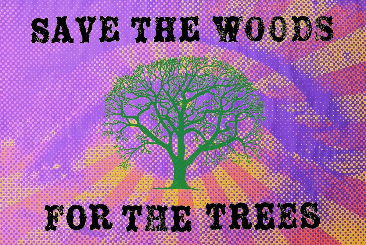 MatthewAWriter's tweet photo. #StopHS2. Worse than Covid taking out all our wise, mature trees. https://t.co/I9xFvKSUvM