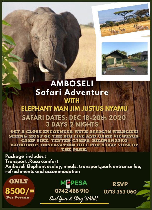 Would you like to learn more about Amboseli Elephant? You have an opportunity under my guidance,  all the 1700 elephants in Amboseli have been studied.  We are looking for 10 people .
#IvoryBelongsToElephants 
#Africa 
#AmboseliElephants