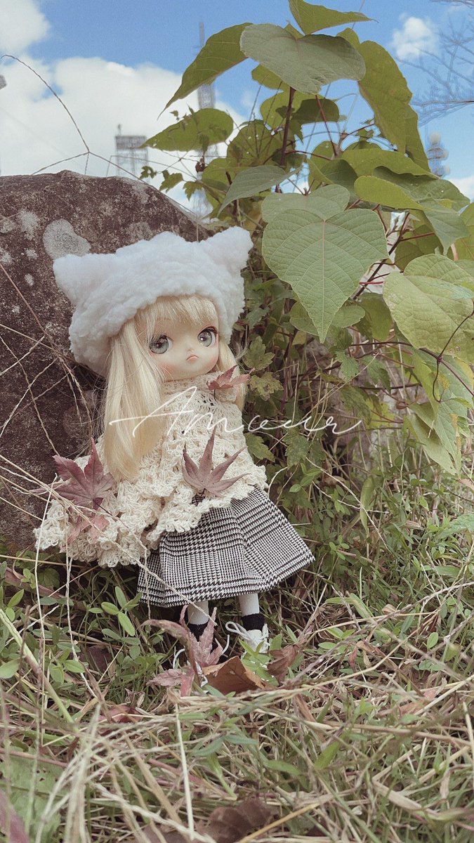 maroshroom's tweet photo. おしゃれに撮っていただいた!
秋の小人さん感🍁✨
ダルのケープ?は、ドール部屋に飾ってた楕円形ドイリーレース編み
ワンピだけだとちょっと寒そうだったので羽織らせてピンズで止めてみたらかわいかったので採用した😀
#pullipdal https://t.co/yWZ00uG9dZ