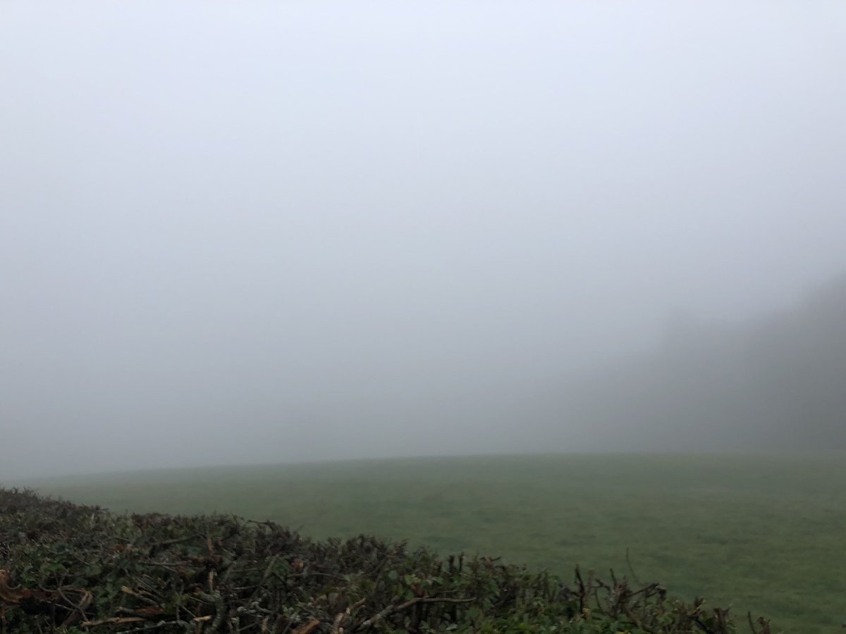 Dave Throup tweet media