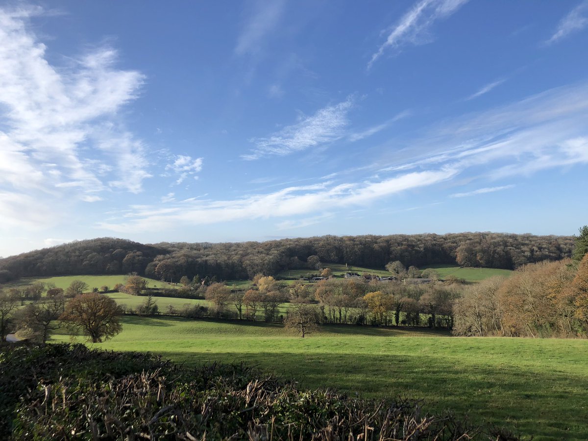 Dave Throup tweet media