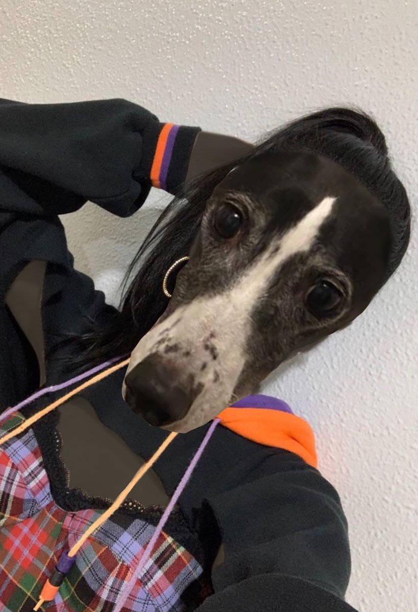 PSSBLLPE's tweet photo. @honkariel dont i look hot?? 🥵 ur v attractive too rail me https://t.co/7qfppoHWBD