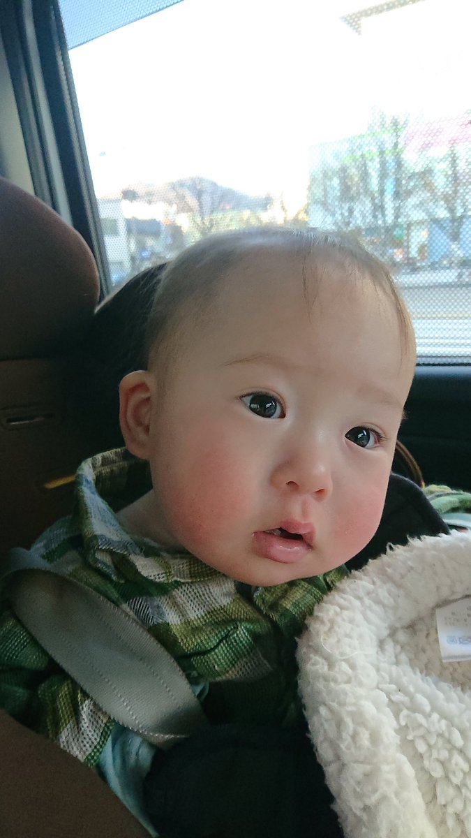 poppy seed (poppyseed200520) Twitter