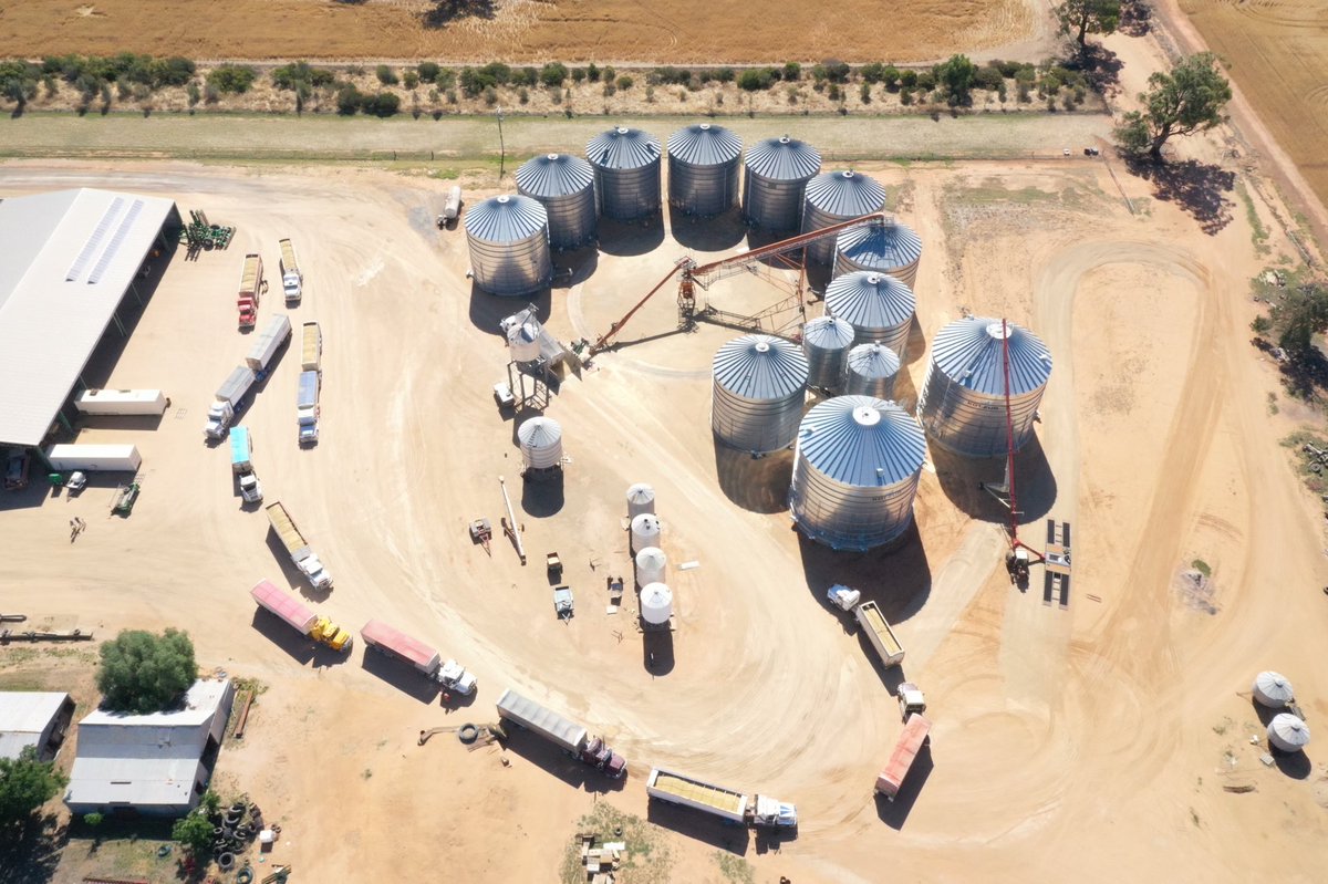 arnold_kelton's tweet photo. After a terrible accident in our area, a great community got together, harvested and carted barley for a family who have suffered a sad loss. It was impressive to witness the selflessness of so many who helped. 14 headers, lots of chaser bins, over 20 trucks  and many people. https://t.co/CY5EBewRsS