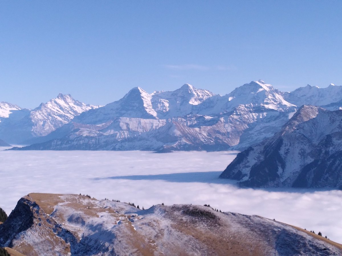 thossmann's tweet image. Stockhorn