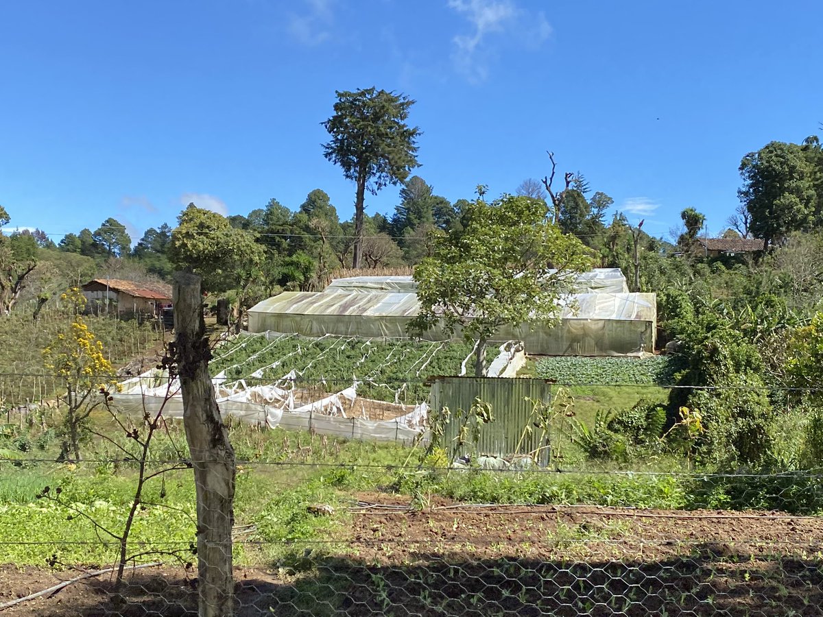 The last three days have been exhausting, mostly because I’ve been trailing the local bishop through a geographically expansive diocese. This rural setting is where the  #maryknoll Sisters Ita Ford and Maureen Clarke served in their last days