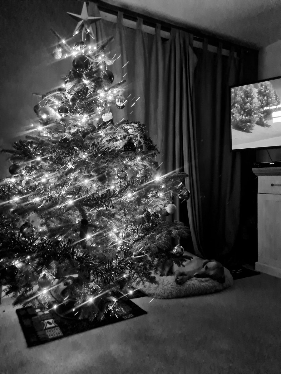 Kat14090825's tweet photo. Ready for Xmas https://t.co/Zpygjszuwv