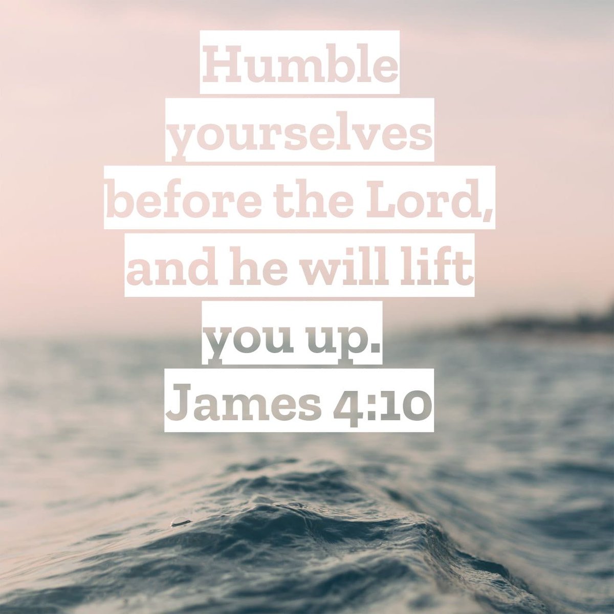 truevinemerch's tweet photo. Amen 🙏🏾 https://t.co/Asv7bL3E1Y