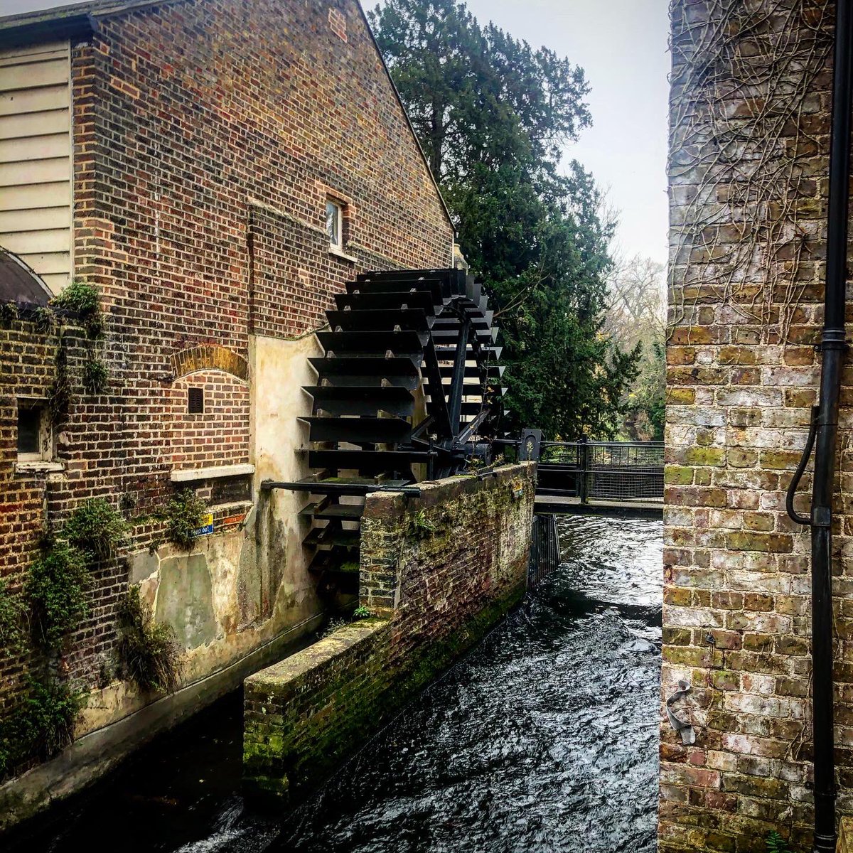 LGilch's tweet photo. Happy happy morning running with the wonderful @ShazStead in lovely @MordenHallPkNT after being off running for nearly 2 months! #winterrunning #runningbuddies #ukrunchat #backinthegame https://t.co/sRyLnOgpjY