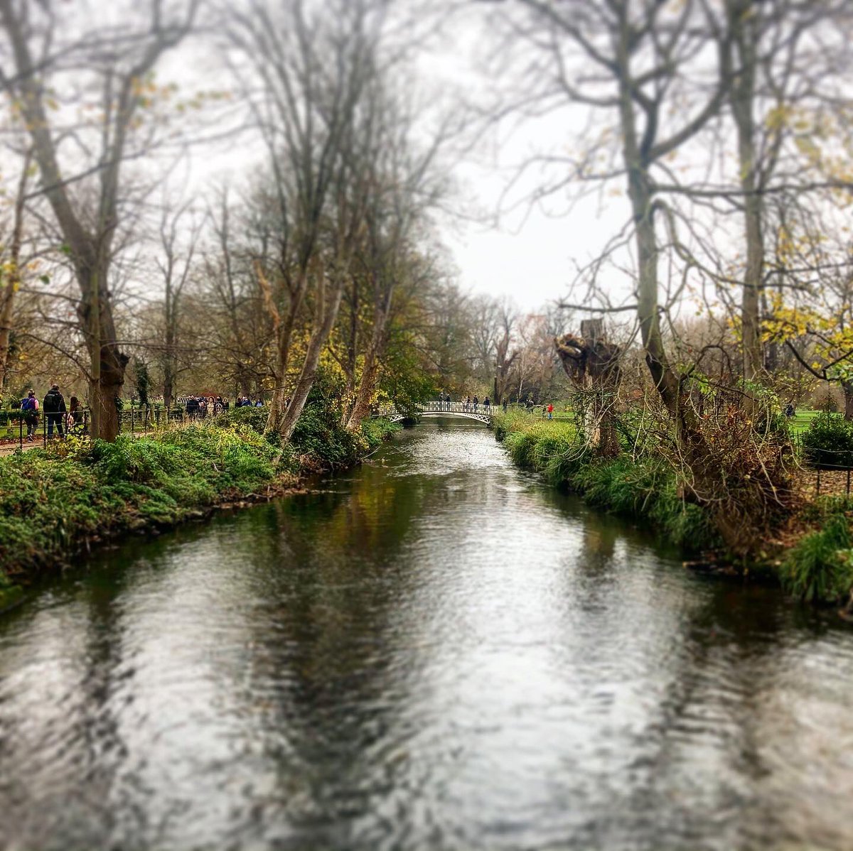LGilch's tweet photo. Happy happy morning running with the wonderful @ShazStead in lovely @MordenHallPkNT after being off running for nearly 2 months! #winterrunning #runningbuddies #ukrunchat #backinthegame https://t.co/sRyLnOgpjY