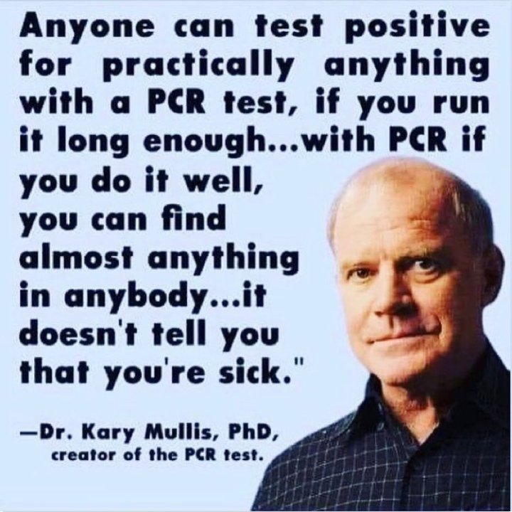 LevanaLomma1's tweet image. The PCR test has given these criminals the ability to flip the pandemic switch on and off at will while creating a way to turn perfectly healthy people into suspected terrorist that must be tracked, traced, monitored, restrained and controlled. Please wake up!