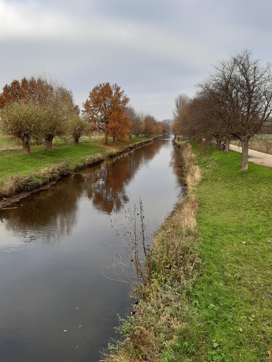 MOptendrenk's tweet photo. Am 1.Advent an der #Niers bei #Oedt. Ruhiges Winterwetter. #Heimat https://t.co/sIlIlDLybn