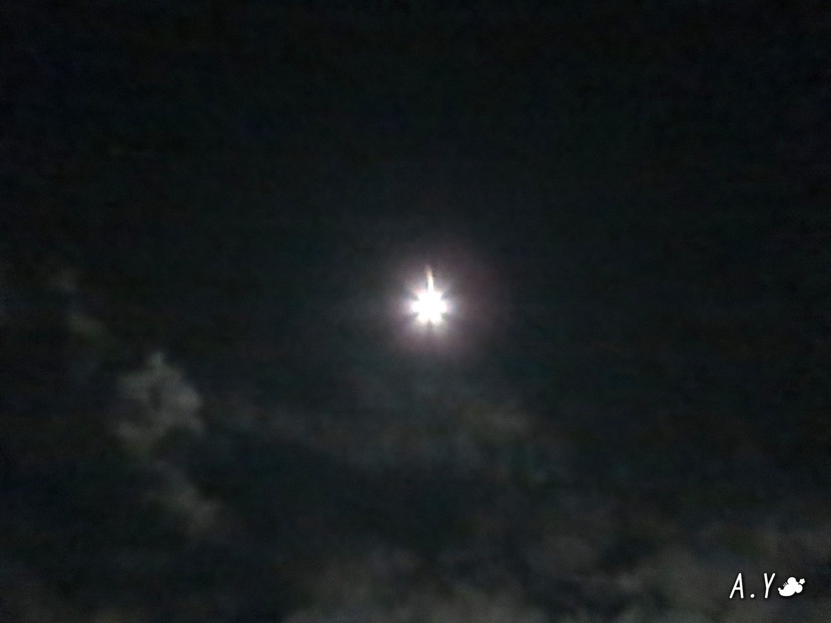 yumeasutw's tweet photo. 今宵も月が綺麗です✨🌕✨
夕方は雲が多くあきらめていましたが、今、空を見上げたら雲がだいぶ晴れ #十五夜 の #お月様 (月齢14.3)が、天高く輝いています✨
#いまつき #イマツキ #月 #moon
#夜空 #宙の名前
#雲の教室
#a2020 #a1129 #a202011 #a20201114 https://t.co/BGsqtepk9Q