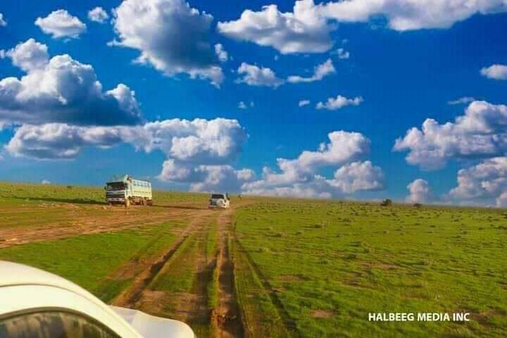 Ogizga yopishtirilgan porno