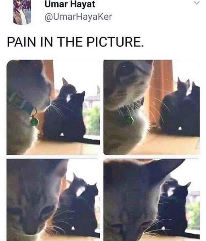 Story Of My Life 😭😔😭😭 #IfYaNot1stYaLast