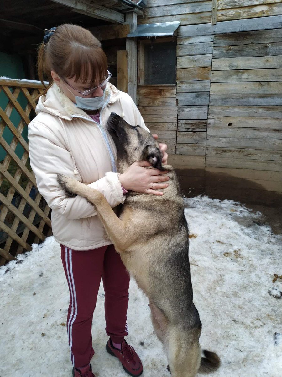 Сегодня помогли приюту для животных «ЗОО37».