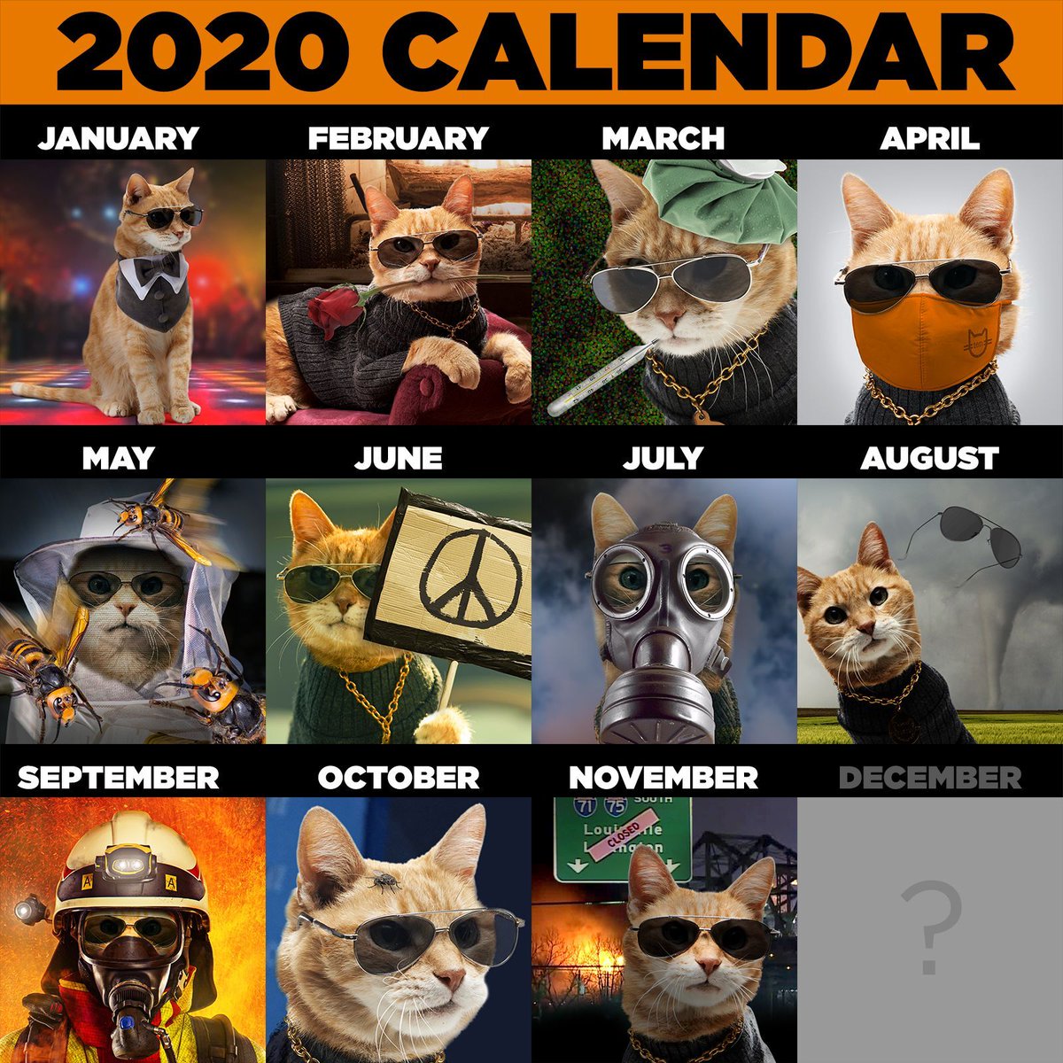 NeuteredScooter's tweet image. Okay, who had &quot;Truck Fire/Destroyed Bridge&quot; for November? Congrats to all of us, because this year is finally almost over. 

#2020challenge #scootertheneuteredcat #brentspencebridge