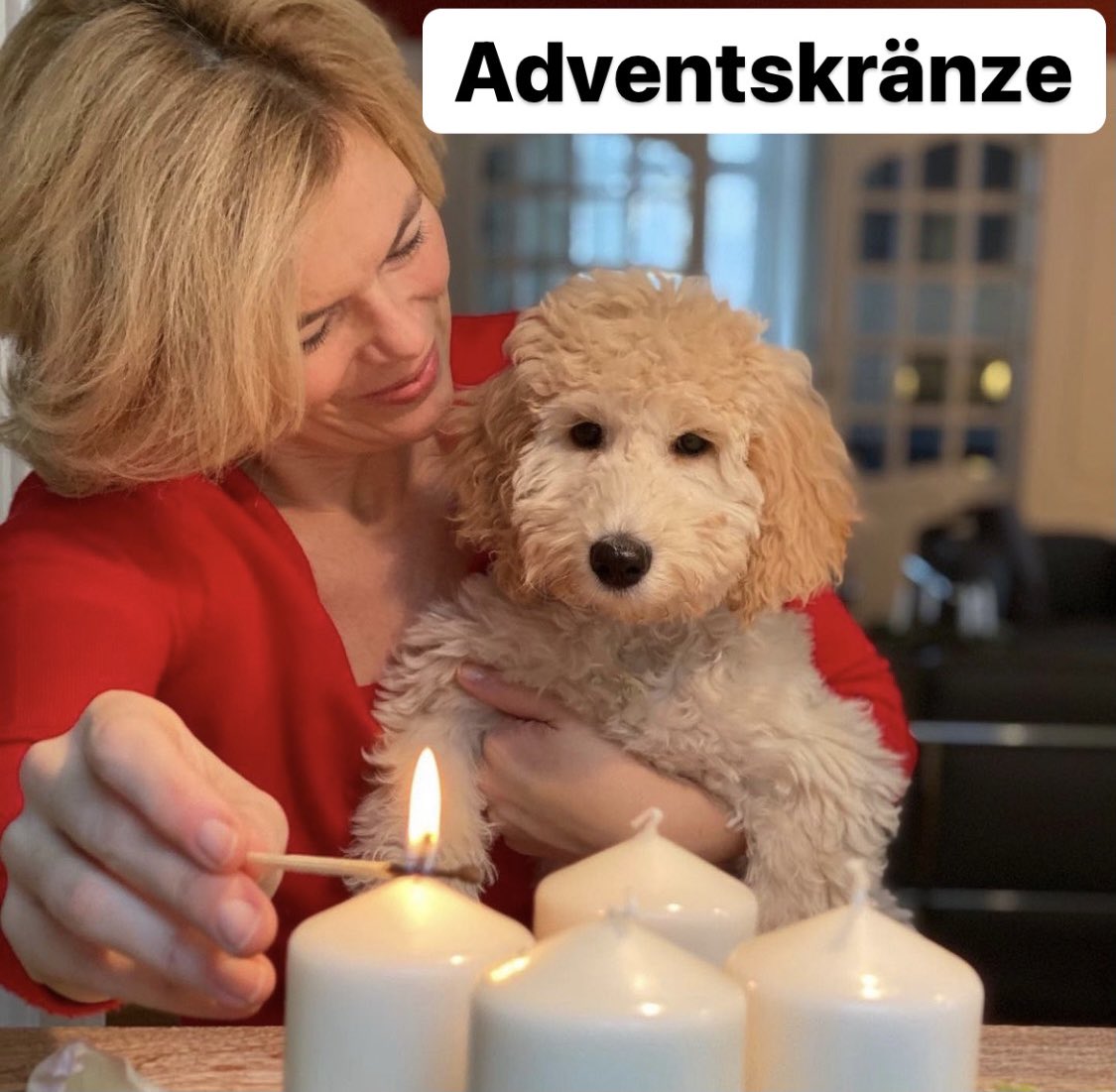 koesterfabian's tweet photo. Awwww! Julia Klöckner zeigt ihrem Hund... https://t.co/T7rxWmEkNp