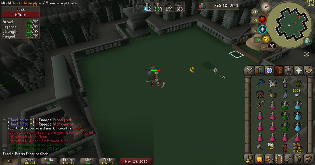 Pet #29 Noon