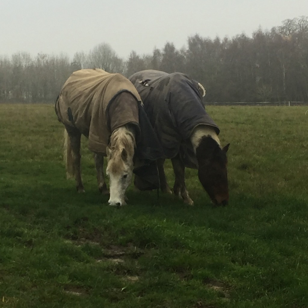minnowmep's tweet photo. Two’s company #mysundayphoto #silentsunday #sundaysnap #mysundaysnapshot
#highlightsofhappy #outdoorsandhappy #myfamilyadventures #capturingtheday #lovelifeoutside #moretoexploreoutdoors
#documentyourdays #UKexplore #snaphappybritmums #outdoorsandhapp… https://t.co/P1SZ6sVqPA https://t.co/R5mimECBiO