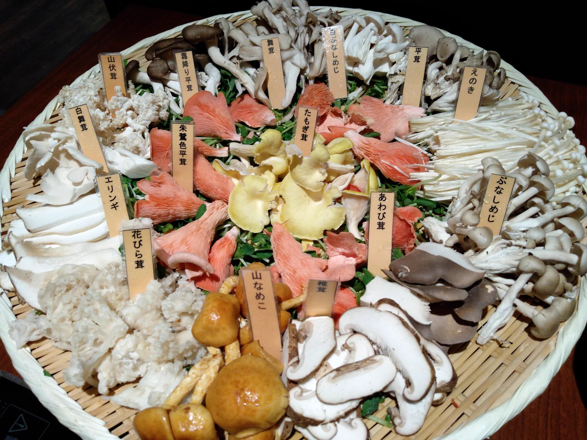 15種類のキノコを使った鍋を食べた結果？美味しいけど味の差はわからないwww