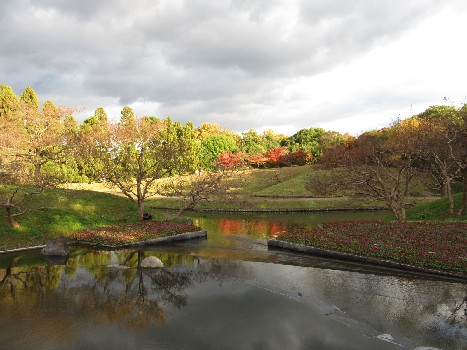 ｉｋｙｓ 年11月29日京都紅葉梅小路公園 朱雀の庭no 2 京都 梅小路公園 朱雀の庭 紅葉https T Co Tjuyn0xhif Twitter