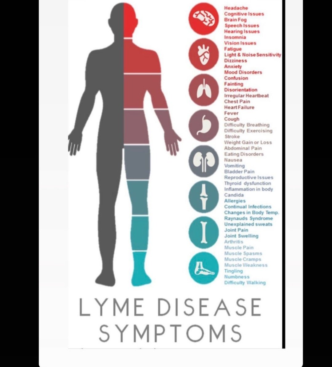 lyme disease is the fastest growing bacterial infection which can cause a whole spectrum of neuropsychiatric symptoms.