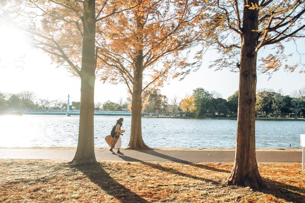 boc_napo's tweet photo. 🍁🍂 https://t.co/S96fJTYz3Q