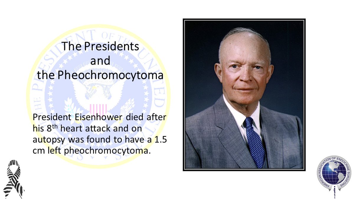 American Association of Endocrine Surgeons tweet media