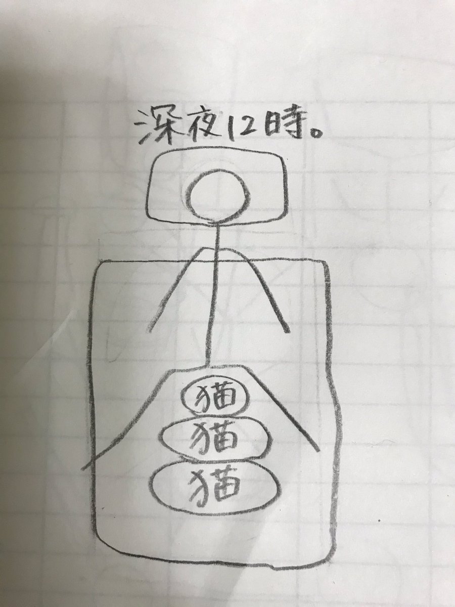 就寝時 猫さんが寝返りを阻止する場所に陣取るためベッドが狭く感じる 大きいのに変えても無駄だよ と寝相と悲鳴が集合 Togetter